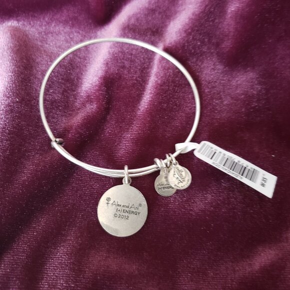 New Alex and Ani United States Coast Guard Adjustable Bangle Energy Positive 249 - Picture 3 of 4